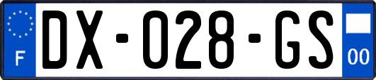 DX-028-GS