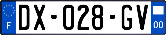 DX-028-GV