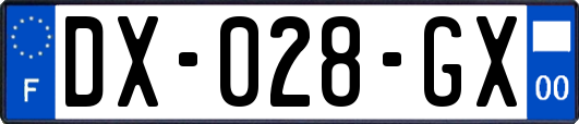 DX-028-GX