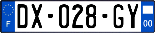 DX-028-GY