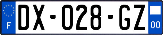 DX-028-GZ