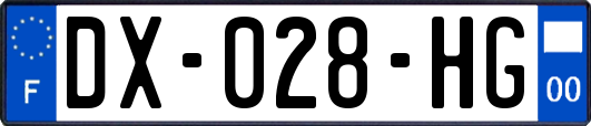 DX-028-HG