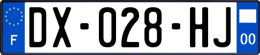 DX-028-HJ