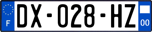DX-028-HZ