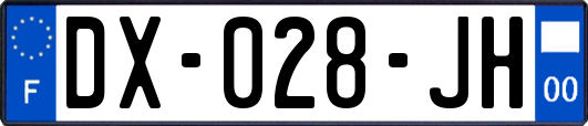 DX-028-JH
