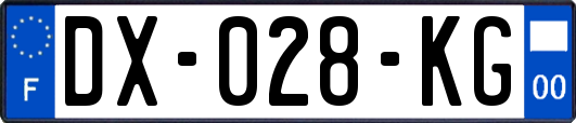 DX-028-KG