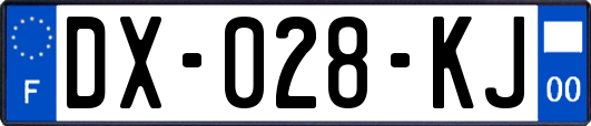 DX-028-KJ