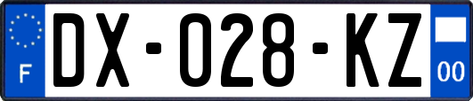 DX-028-KZ