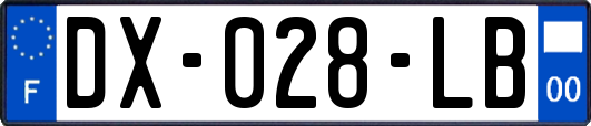 DX-028-LB