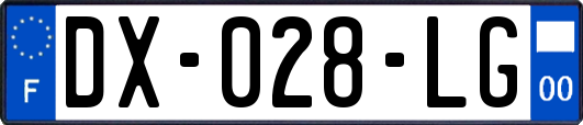 DX-028-LG