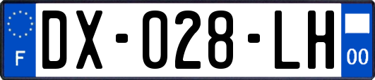 DX-028-LH