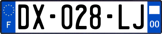 DX-028-LJ