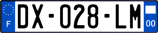 DX-028-LM