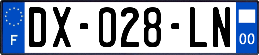 DX-028-LN