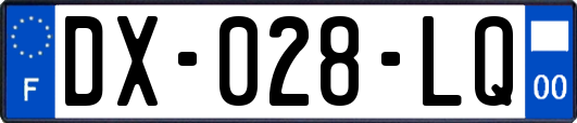 DX-028-LQ