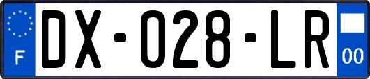 DX-028-LR