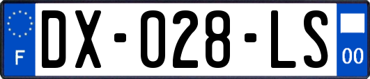 DX-028-LS
