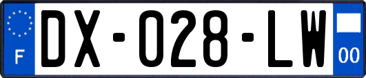 DX-028-LW