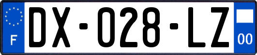 DX-028-LZ