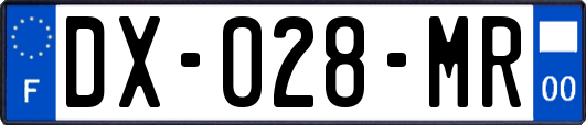 DX-028-MR