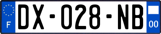 DX-028-NB