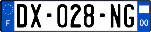 DX-028-NG