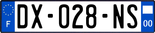 DX-028-NS