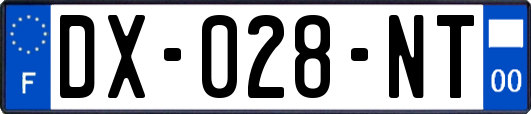 DX-028-NT