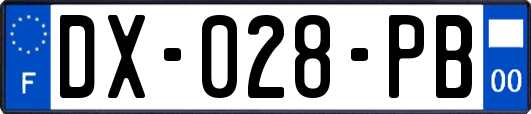 DX-028-PB
