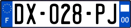 DX-028-PJ