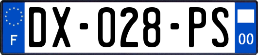 DX-028-PS