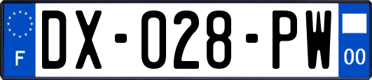 DX-028-PW