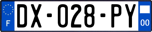 DX-028-PY