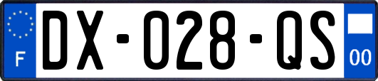 DX-028-QS