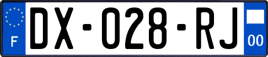 DX-028-RJ