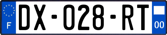 DX-028-RT