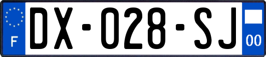DX-028-SJ