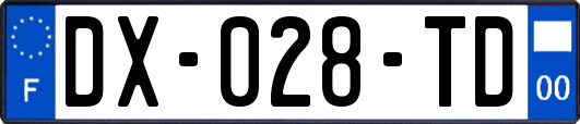 DX-028-TD