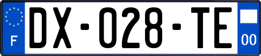 DX-028-TE