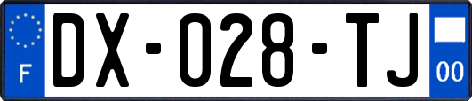DX-028-TJ