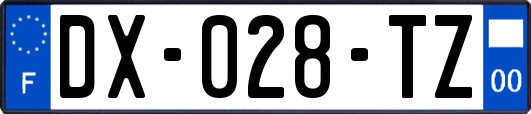 DX-028-TZ