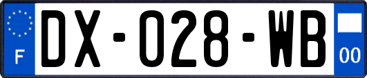 DX-028-WB