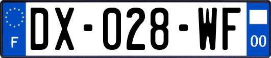 DX-028-WF