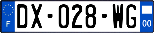 DX-028-WG