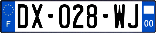 DX-028-WJ