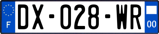 DX-028-WR