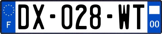 DX-028-WT