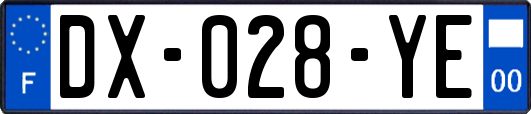 DX-028-YE