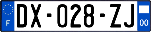 DX-028-ZJ