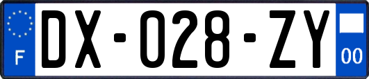 DX-028-ZY